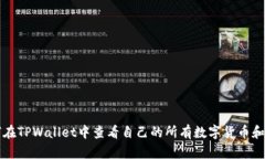 如何在TPWallet中查看自己的