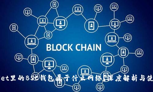 TPWallet里的BSC钱包属于什么网络？深度解析与使用指南