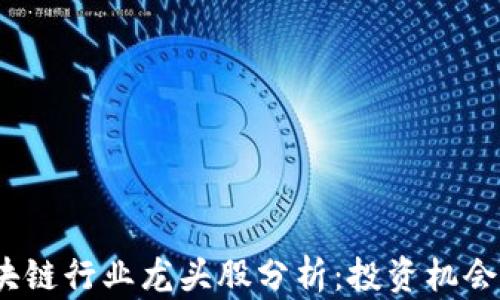 
2023年区块链行业龙头股分析：投资机会与风险评估