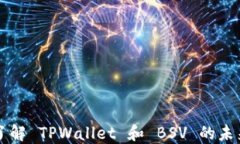 深入了解 TPWallet 和 BSV 的