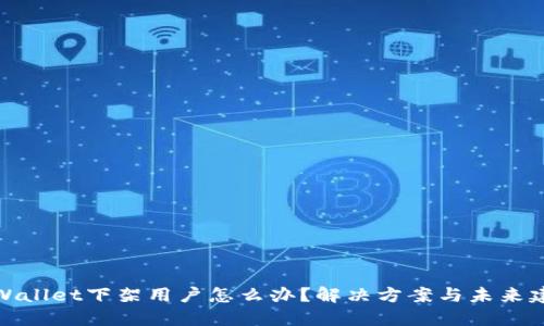 TPWallet下架用户怎么办？解决方案与未来建议