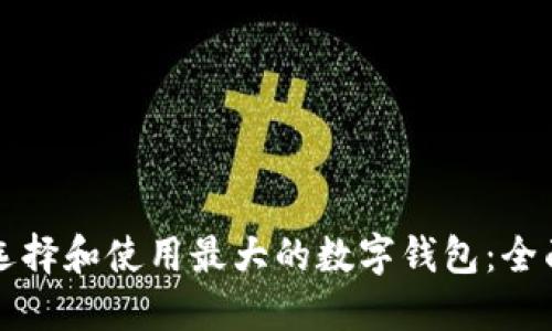 如何选择和使用最大的数字钱包：全面指南