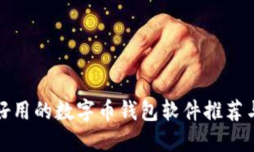 十大好用的数字币钱包软件推荐与评测