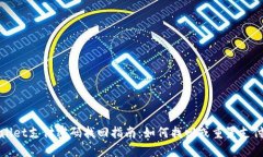 TPWallet支付密码找回指南：