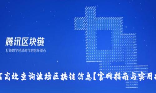 如何高效查询波场区块链信息？官网指南与实用技巧