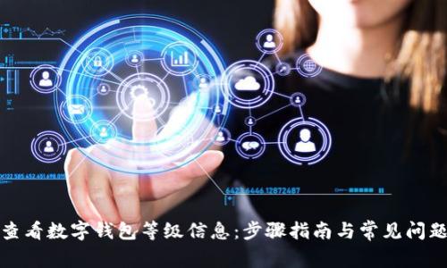 如何查看数字钱包等级信息：步骤指南与常见问题解答