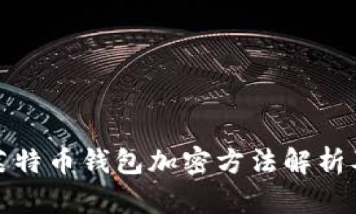 最安全的莱特币钱包加密方法解析及使用指南