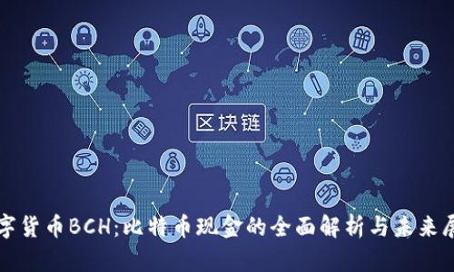 数字货币BCH：比特币现金的全面解析与未来展望