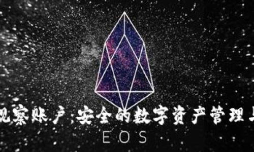 TPWallet观察账户：安全的数字资产管理与实时监控