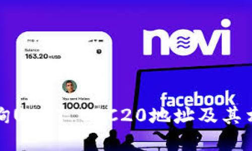 如何查询USDT ERC20地址及其相关信息