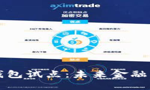 中国数字货币钱包试点：未来金融的新机遇与挑战