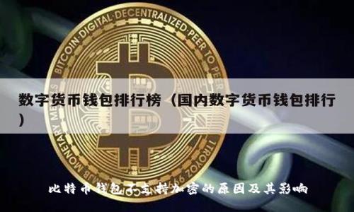 比特币钱包不支持加密的原因及其影响