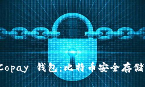 深入了解 Copay 钱包：比特币安全存储的最佳选择
