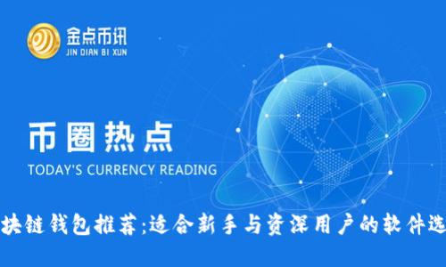 区块链钱包推荐：适合新手与资深用户的软件选择
