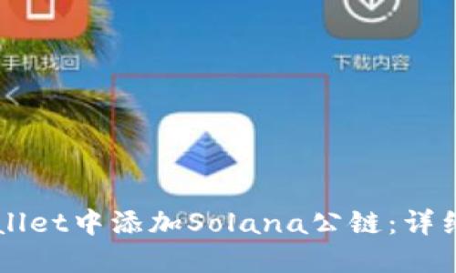 如何在TPWallet中添加Solana公链：详细步骤与指南