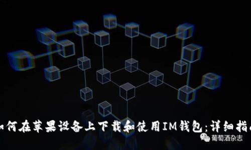 如何在苹果设备上下载和使用IM钱包：详细指南