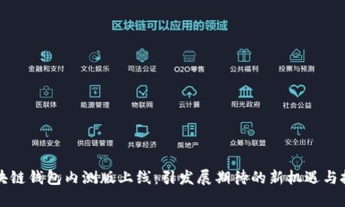 区块链钱包内测版上线：引发展期待的新机遇与挑战