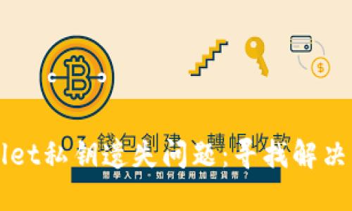 如何处理TPWallet私钥遗失问题：寻找解决方案和最佳实践