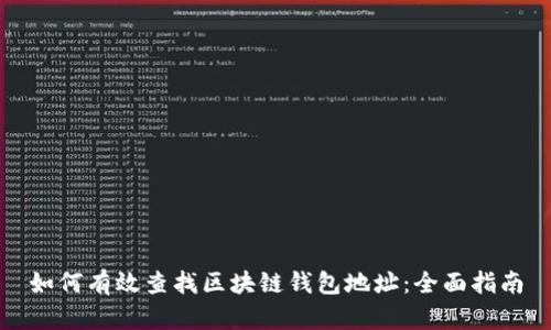 如何有效查找区块链钱包地址：全面指南