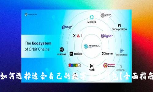 如何选择适合自己的数字货币钱包？全面指南