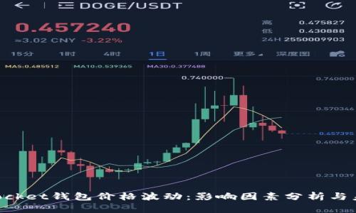 TokenPocket钱包价格波动：影响因素分析与未来展望