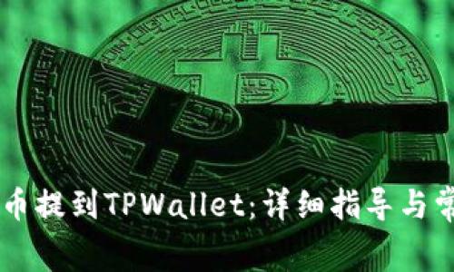 如何将Doge币提到TPWallet：详细指导与常见问题解答