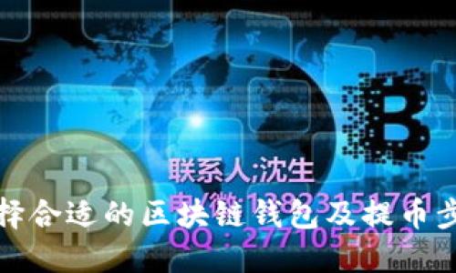 如何选择合适的区块链钱包及提币步骤详解
