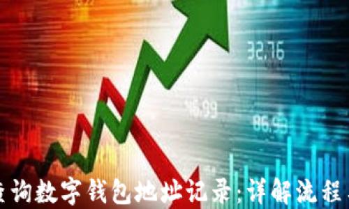 
如何查询数字钱包地址记录：详解流程与工具