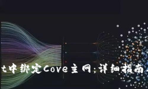 如何在TPWallet中绑定Cove主网：详细指南与常见问题解答