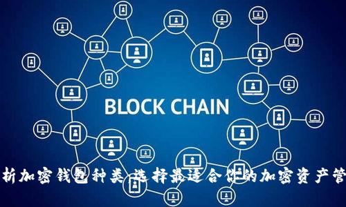 深入解析加密钱包种类：选择最适合你的加密资产管理工具