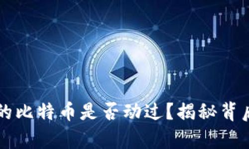 中本聪的比特币是否动过？揭秘背后的真相