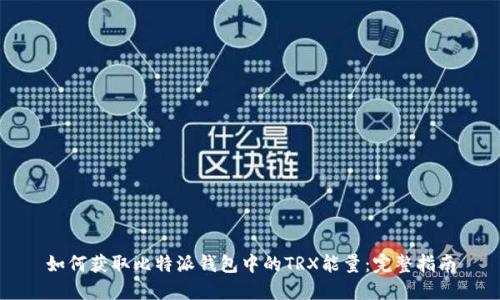 如何获取比特派钱包中的TRX能量：完整指南