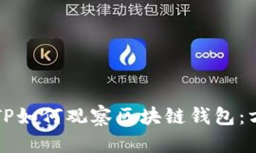 深入了解TP如何观察区块链钱包：方法与技巧