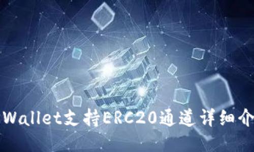TPWallet支持ERC20通道详细介绍