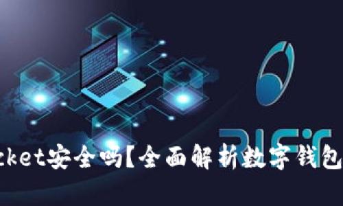TokenPocket安全吗？全面解析数字钱包的安全性