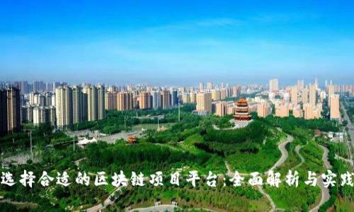 如何选择合适的区块链项目平台：全面解析与实践指南
