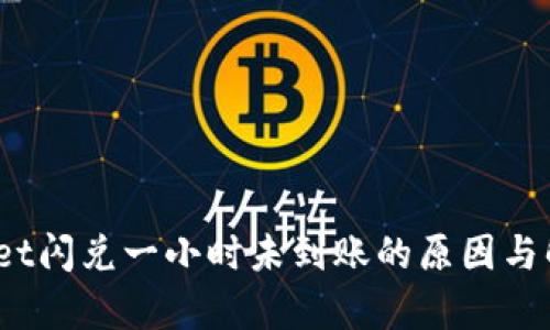  tpwallet闪兑一小时未到账的原因与解决方案