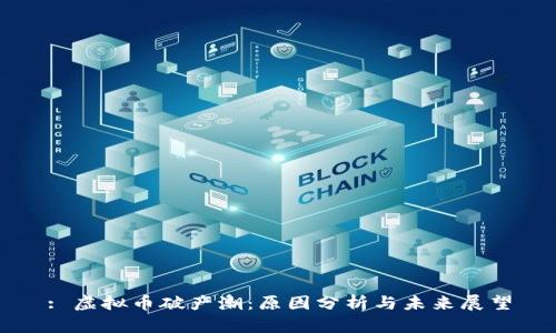 : 虚拟币破产潮：原因分析与未来展望