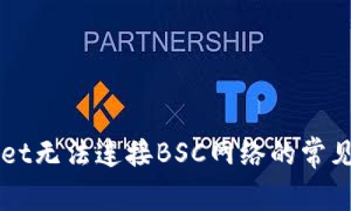 解决TPWallet无法连接BSC网络的常见问题及技巧