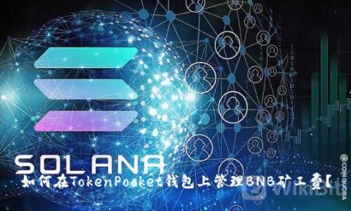 如何在TokenPocket钱包上管理BNB矿工费？