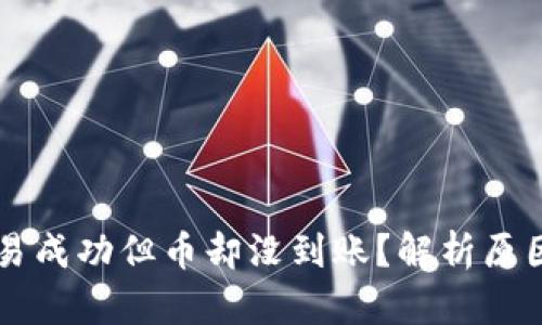 TPWallet交易成功但币却没到账？解析原因与解决方案