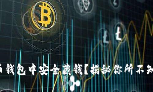 如何在数字货币钱包中安全藏钱？揭秘你所不知道的存储技巧！