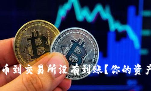 从TP Wallet提币到交易所没有到账？你的资产安全如何保障！