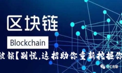 虚拟币钱包被锁？别慌，这招助你重新挖掘你的数字资产！