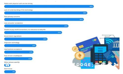 如何在TPWallet中安全存储和管理DOGE：你需要知道的一切