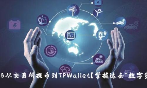 如何将BNB从交易所提币到TPWallet？掌握这条“数字资产之路”！