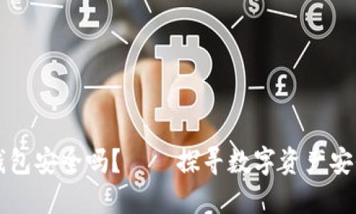 区块链钱包安全吗？——探寻数字资产安全的未来