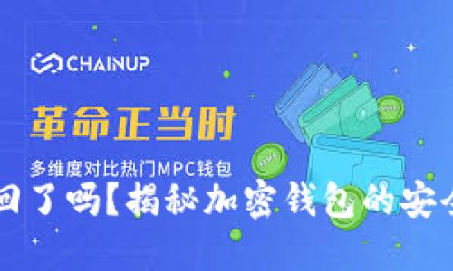 TPWallet被收回了吗？揭秘加密钱包的安全性与未来趋势