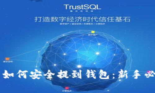 虚拟币如何安全提到钱包：新手必读指南