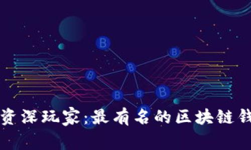 从小白到资深玩家：最有名的区块链钱包全解析